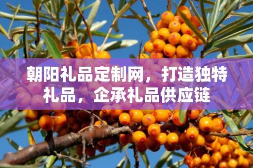 朝阳礼品定制网，打造独特礼品，企承礼品供应链
