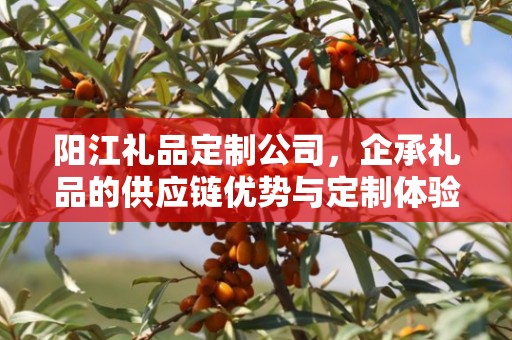 阳江礼品定制公司，企承礼品的供应链优势与定制体验