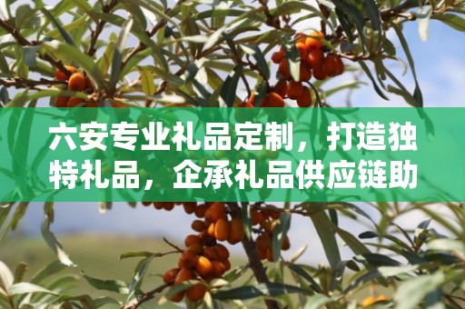 六安专业礼品定制，打造独特礼品，企承礼品供应链助力商务发展