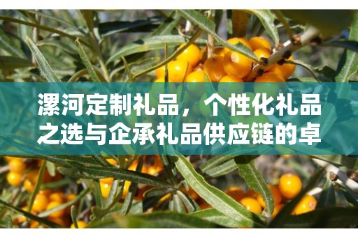 漯河定制礼品，个性化礼品之选与企承礼品供应链的卓越服务