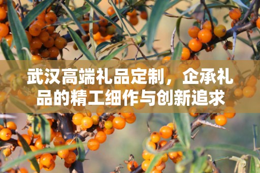 武汉高端礼品定制，企承礼品的精工细作与创新追求
